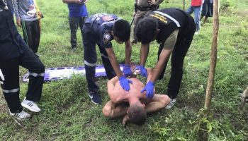 Голый иностранец, забоданный коровой после предполагаемого сексуального насилия