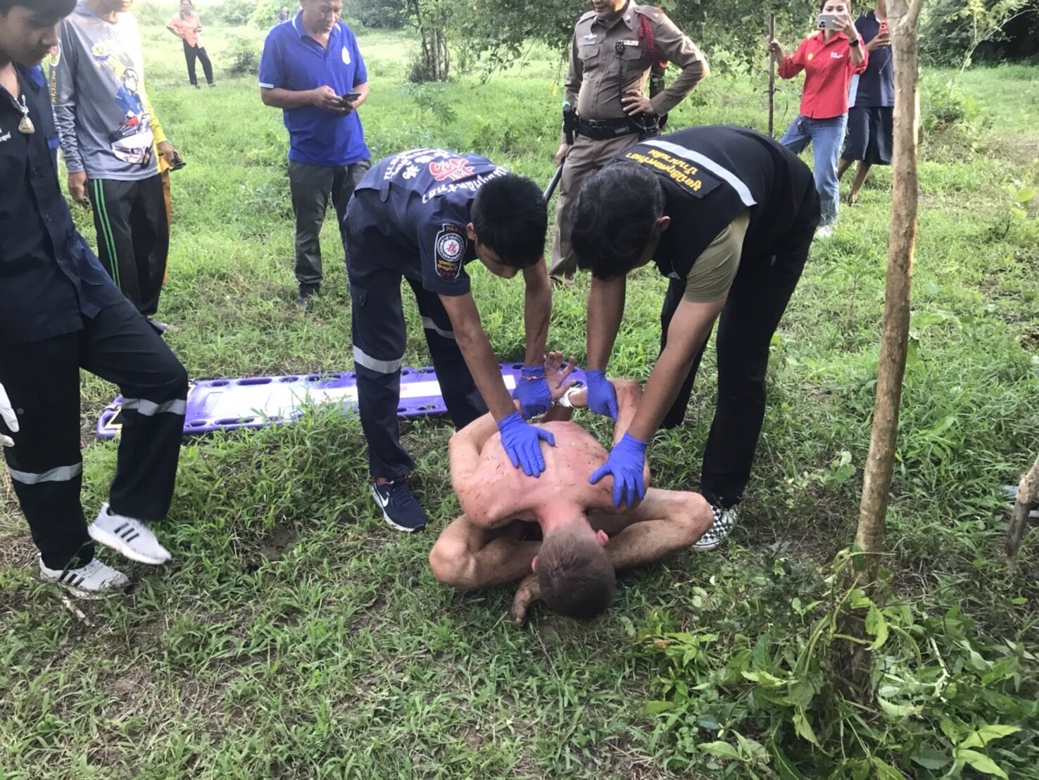 Голый иностранец, забоданный коровой после предполагаемого сексуального насилия