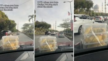 Женщина из Малайзии прославилась тем, что перевозила дурианы в автомобиле (видео)