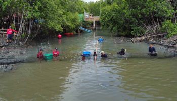 Министр говорит, что знает, кто виноват во вторжении инопланетных рыб