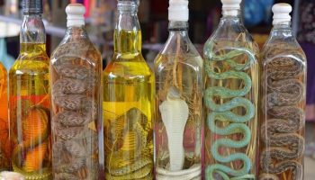 Мужчина пьет поддельное змеиное вино для здоровья, рискуя получить почечную недостаточность