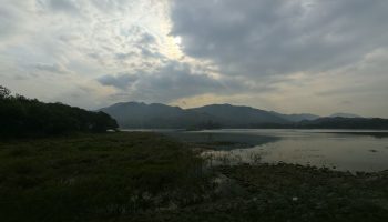 Мэй на водоемах дрожит, волнуется, но держится крепко