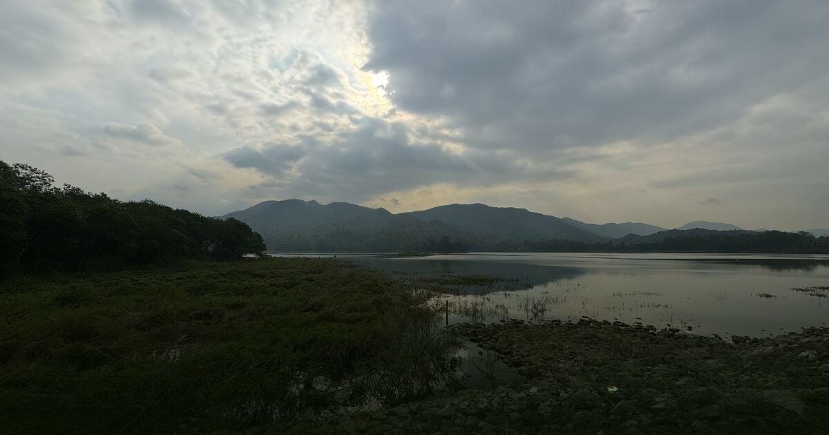 Мэй на водоемах дрожит, волнуется, но держится крепко