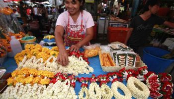 Нехватка жасмина приводит к импорту из Индонезии