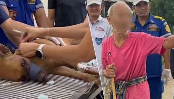Пожилого мужчину нашли волочащим раненую собаку по дороге в тайскую деревню