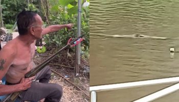 Появление крокодила в канале Чаченгсао вызвало панику