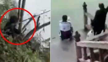 Проблема с катушкой на Пхукете: мужчина попался на крючок во время рыбалки в храмовом пруду