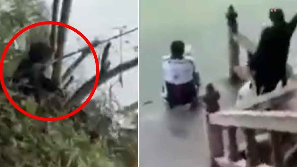 Проблема с катушкой на Пхукете: мужчина попался на крючок во время рыбалки в храмовом пруду