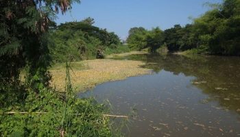 Таиланд обнародовал план обеспечения водной безопасности стоимостью 548 миллиардов долларов США