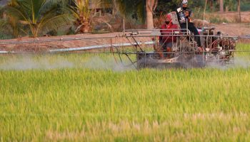 Тайские ютуберы среди тех, кто имеет право на социальное обеспечение