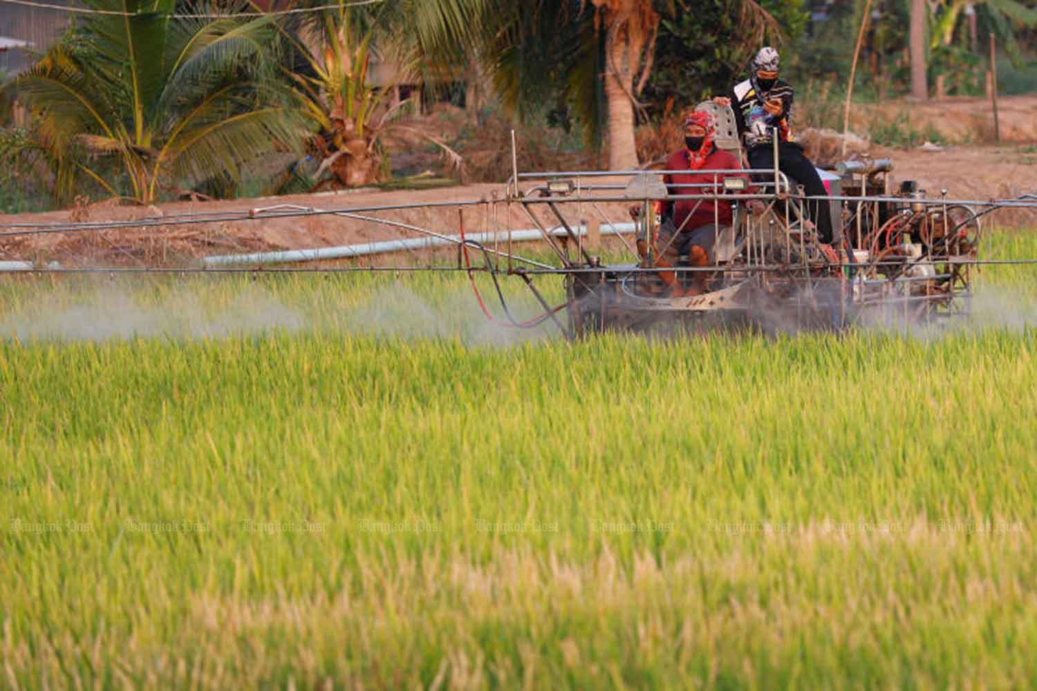 Тайские ютуберы среди тех, кто имеет право на социальное обеспечение
