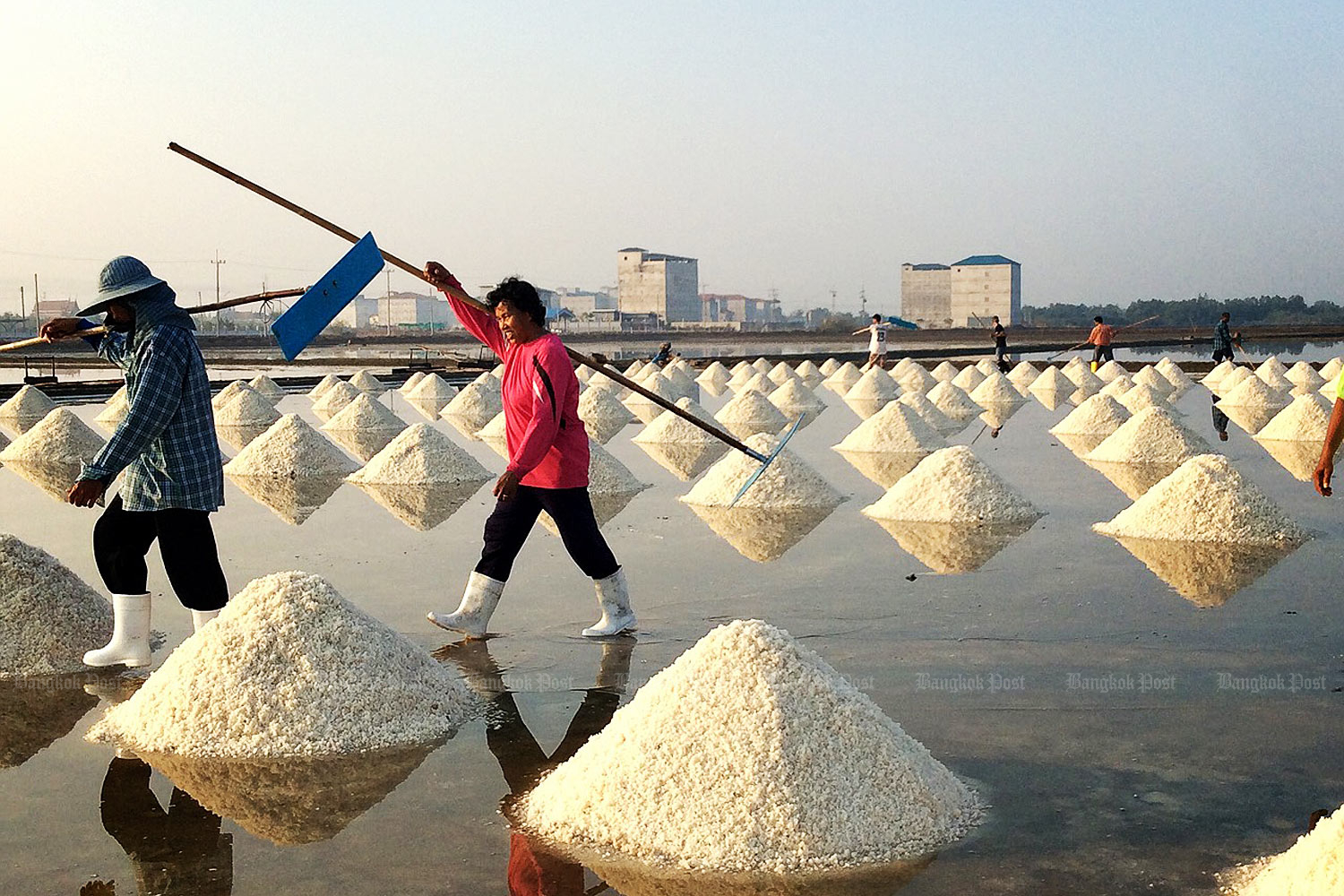 Эксперты призывают тайцев потреблять меньше соли