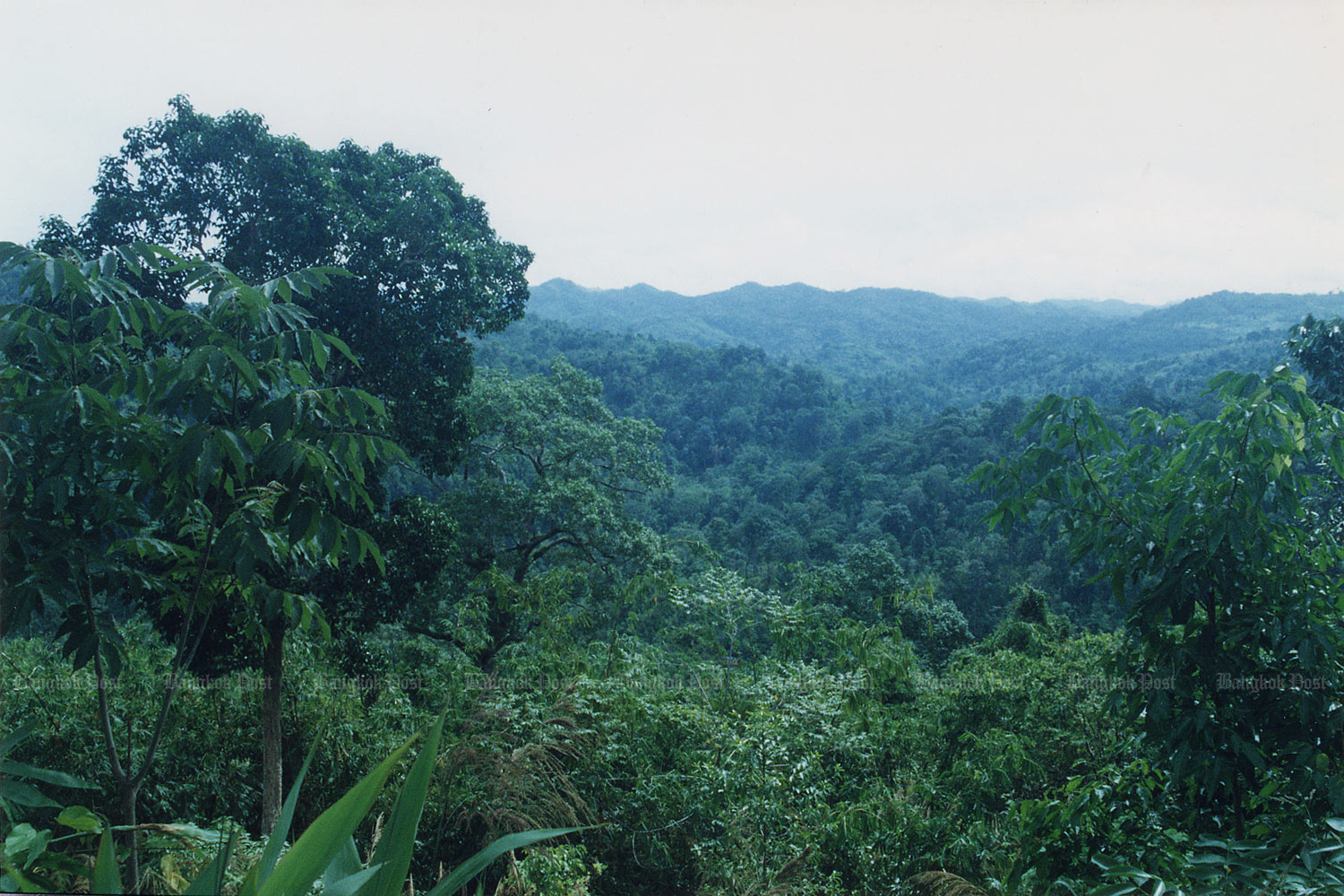 30 человек задержаны за нарушения лесного законодательства, незаконный въезд в лес