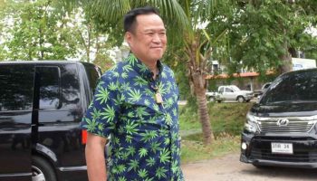 Анютин видит светлое будущее каннабиса