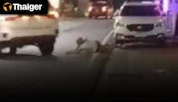 Видео-новости Таиланда | Трагедия в Паттайе: американский ютубер разбил тук-тук