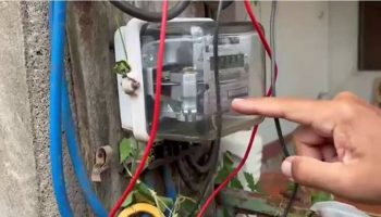 Владельцев плантаций дуриана арестовали за мошенничество со счетчиками электроэнергии