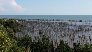 Возвращая себе инициативу