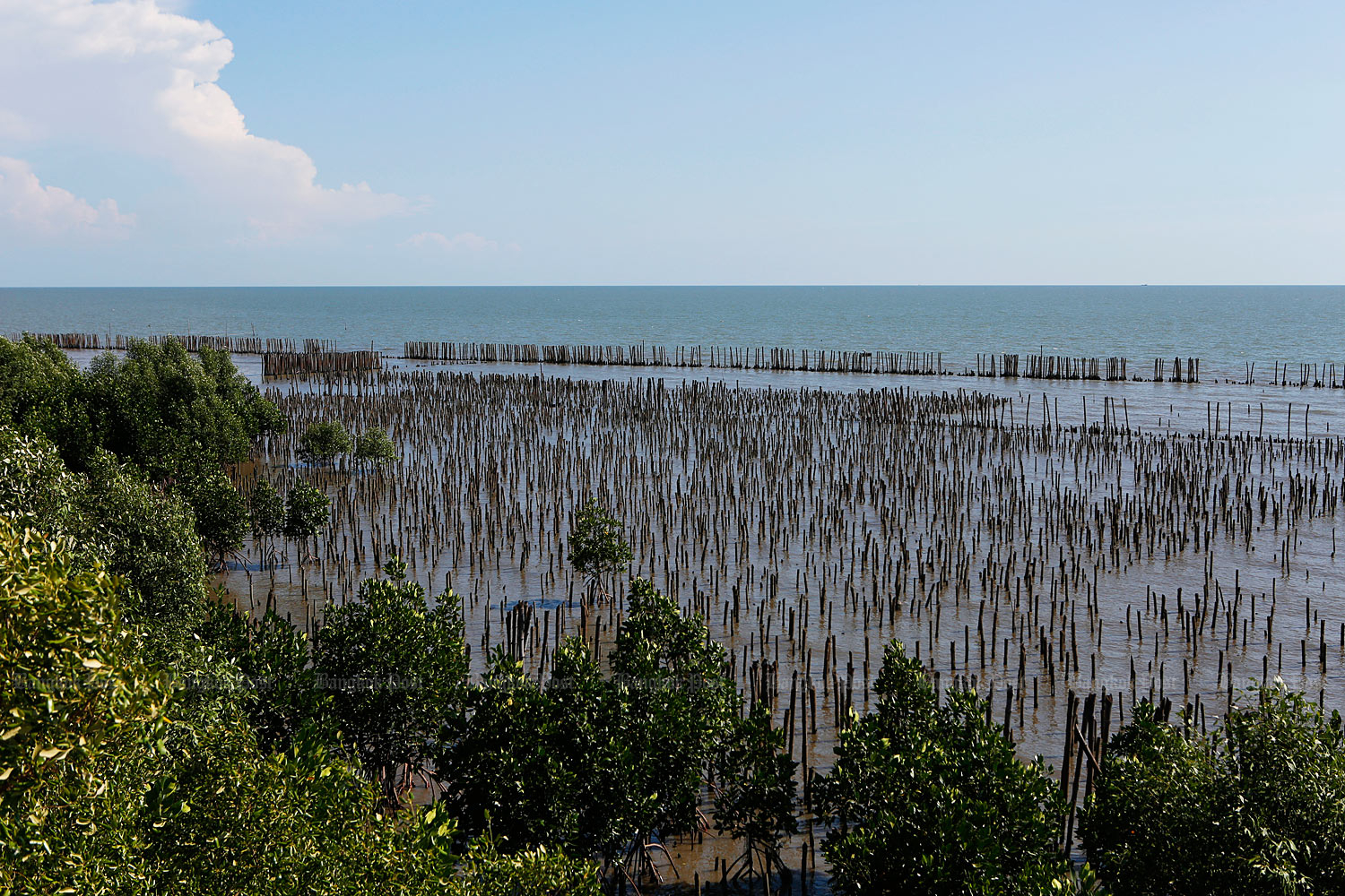 Возвращая себе инициативу