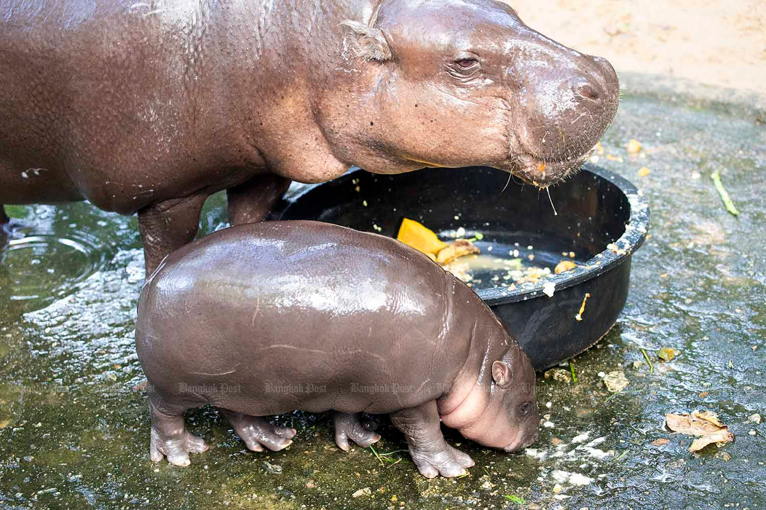Вратарь успокаивает болельщиков, обеспокоенных благополучием Му Дэна