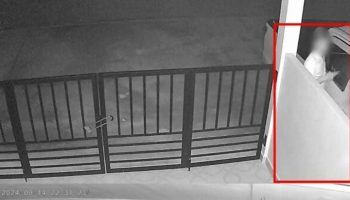 Говядина от шеф-повара: повар тайского отеля вышел из себя из-за нечестной игры пьяного соседа