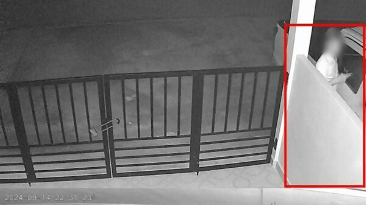 Говядина от шеф-повара: повар тайского отеля вышел из себя из-за нечестной игры пьяного соседа