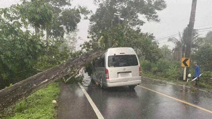 Дерево упало на школьный фургон в Краби, 14 человек получили ранения