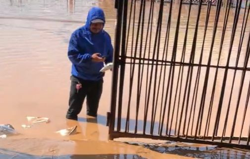 Курьерша пробирается через наводнение, чтобы доставить посылку в Нонг Кхай (видео)