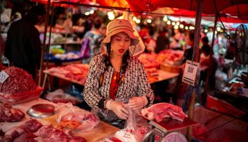 Лидеры тайского бизнеса расспрашивают премьер-министра Паэтонгтарна о спасении экономики