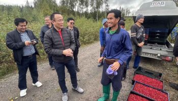 Министерство труда посетило сборщиков ягод в Швеции