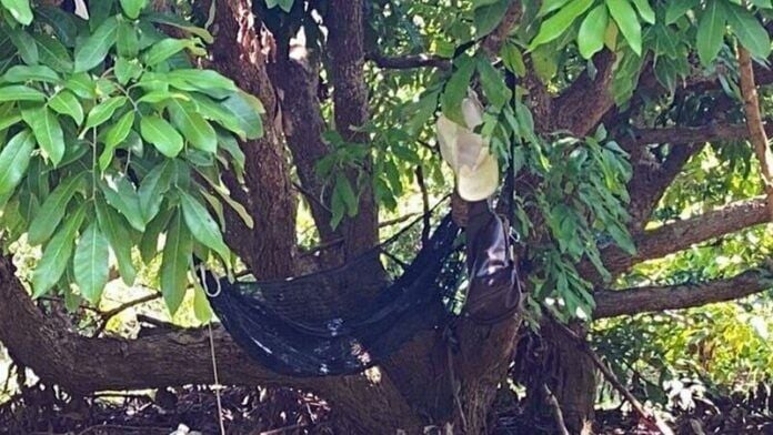 Мужчина был найден в Лонган-орчард после того, как смертельно ранил бывшую жену