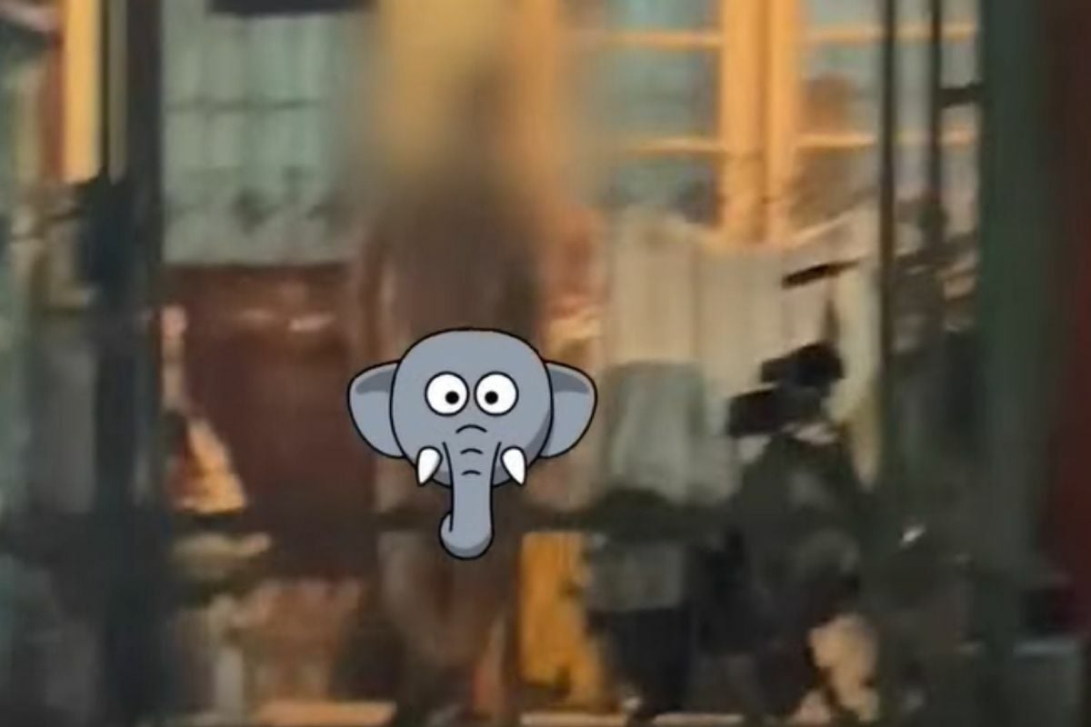 Обнаженная в Бангкоке: девочка-подросток разоблачила непристойное поведение соседки (видео)