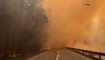 Португальские пожарные до предела напряглись в борьбе с лесными пожарами