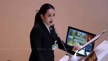 Премьер-министр объявляет о политике, в то время как оппозиция критикует прогресс