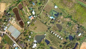 Призыв приостановить строительство новых национальных парков на фоне земельного конфликта в Тхаплане