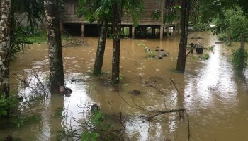 Провинция Сатун сталкивается с сильным наводнением из-за обильных осадков