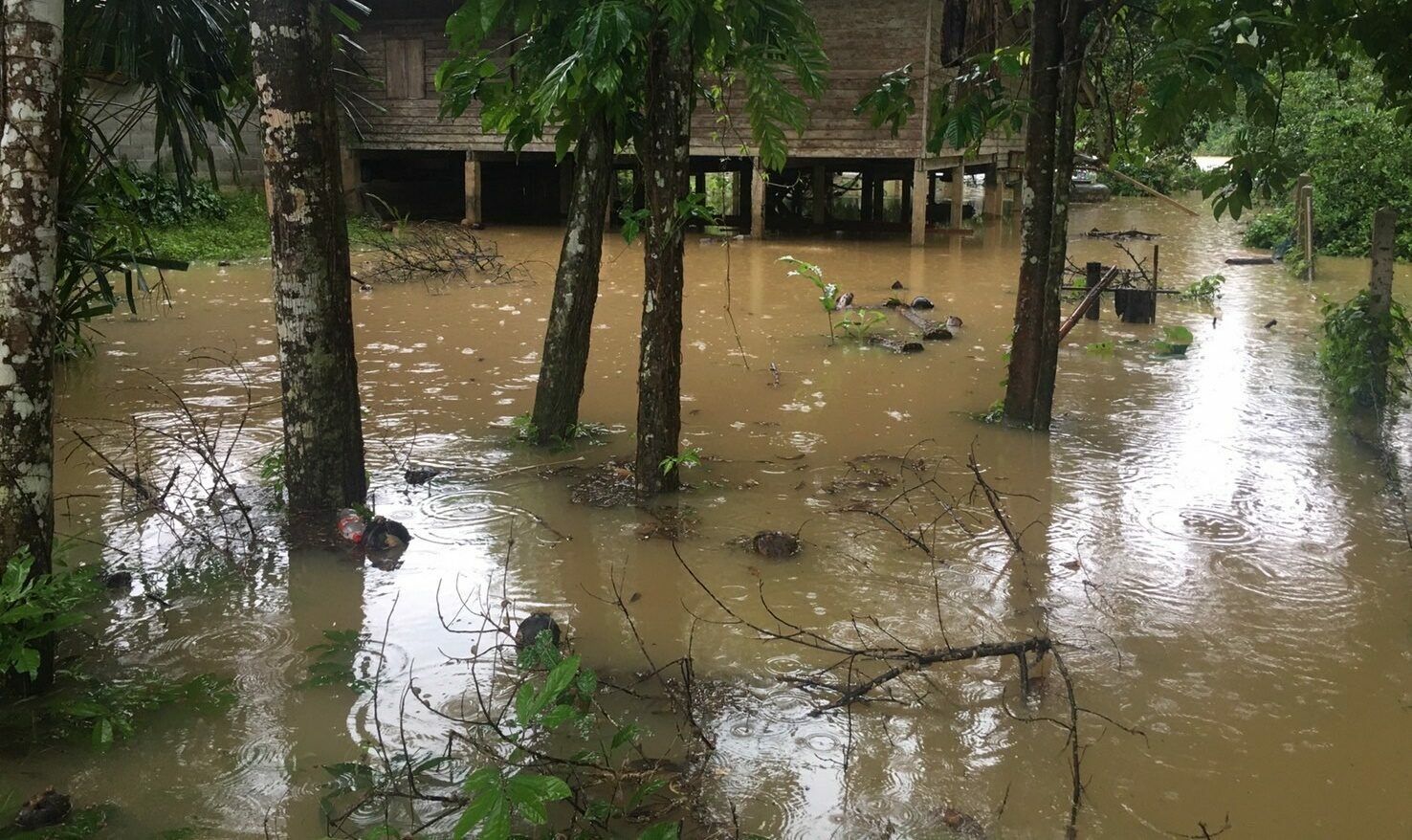 Провинция Сатун сталкивается с сильным наводнением из-за обильных осадков