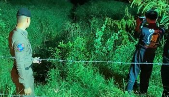 Рыбак нашел тело женщины в пруду Паттайи, полиция проводит расследование