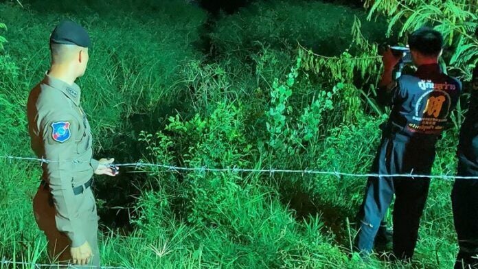 Рыбак нашел тело женщины в пруду Паттайи, полиция проводит расследование