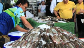 Рыбаки купили костюм из тилапии стоимостью 2,4 миллиарда батов в CPF