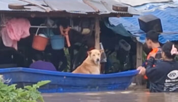 Студенты, монахи помогают во время подъема уровня воды в Лампанге