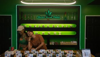 Таиланд представил новый законопроект, регулирующий использование каннабиса, сохраняя его легальность