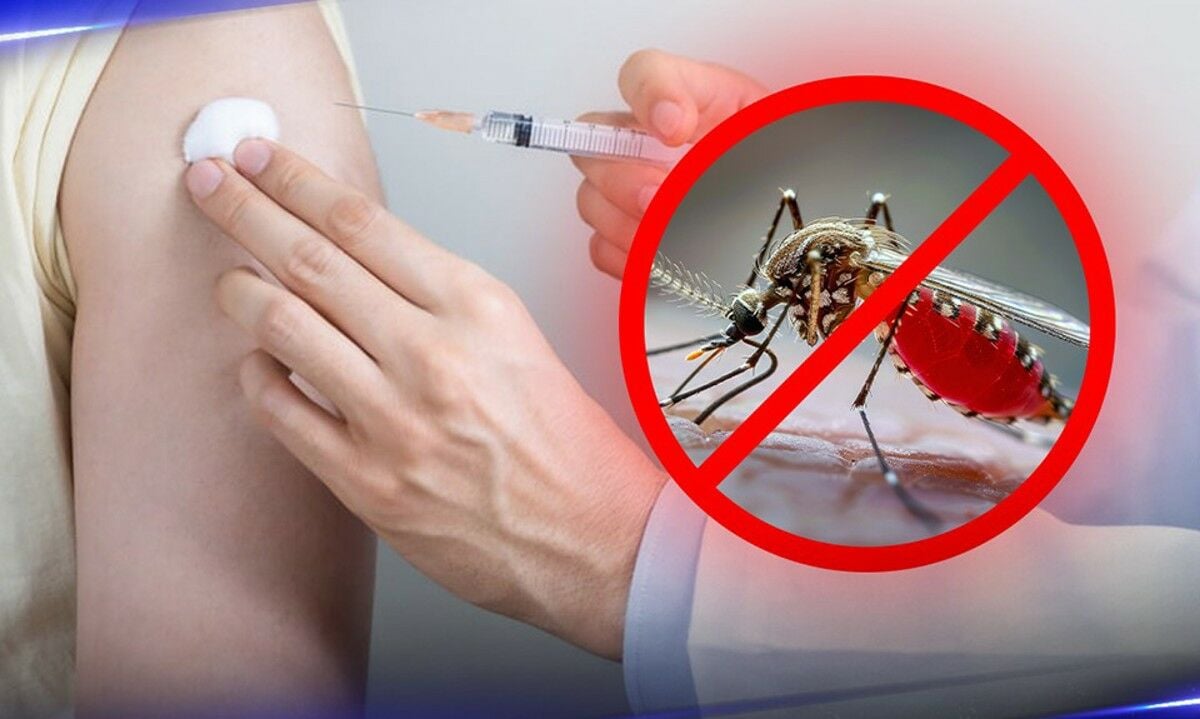 Тайский Красный Крест снижает цены на прививки от лихорадки денге