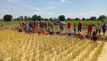 Тайский суд оштрафовал обвиняемых в финансовой пирамиде на 35,2 миллиона батов