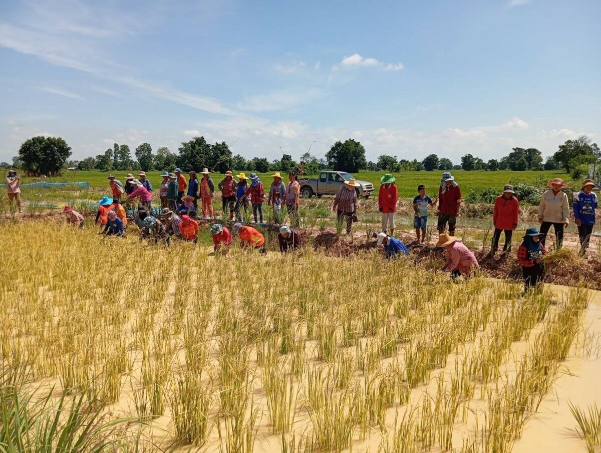 Тайский суд оштрафовал обвиняемых в финансовой пирамиде на 35,2 миллиона батов