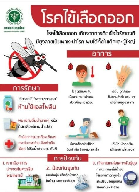 Чиновники здравоохранения Пхукета предупреждают о вспышке лихорадки денге после наводнений