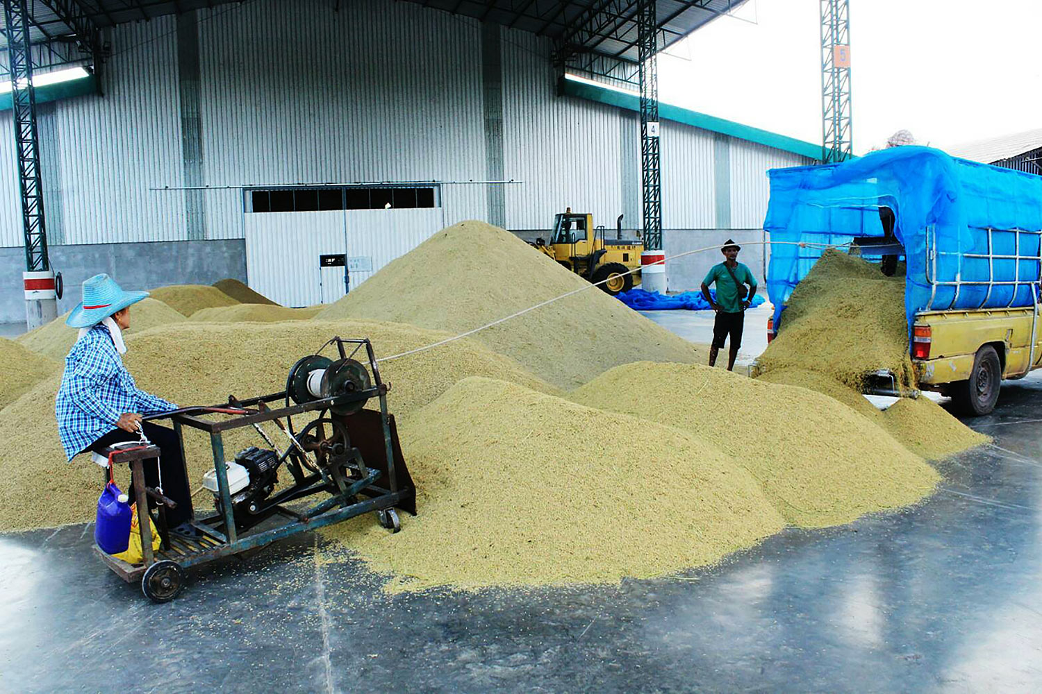 Rice mills group призывает банки смягчить правила кредитования