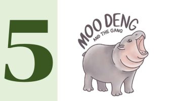 Анонсирован официальный логотип Moo Deng