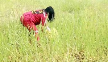 Брошенная маленькая девочка спасена в таиландской провинции Пхетчабун