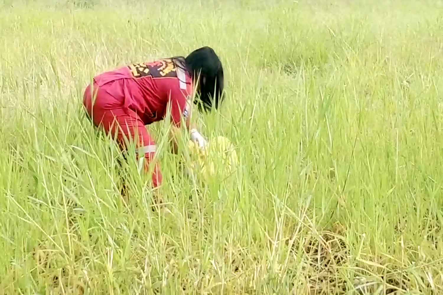 Брошенная маленькая девочка спасена в таиландской провинции Пхетчабун