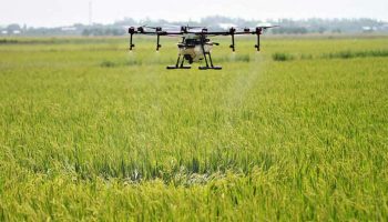 В Таиланде запущены беспилотники: летающие технологии улучшат состояние фермеров